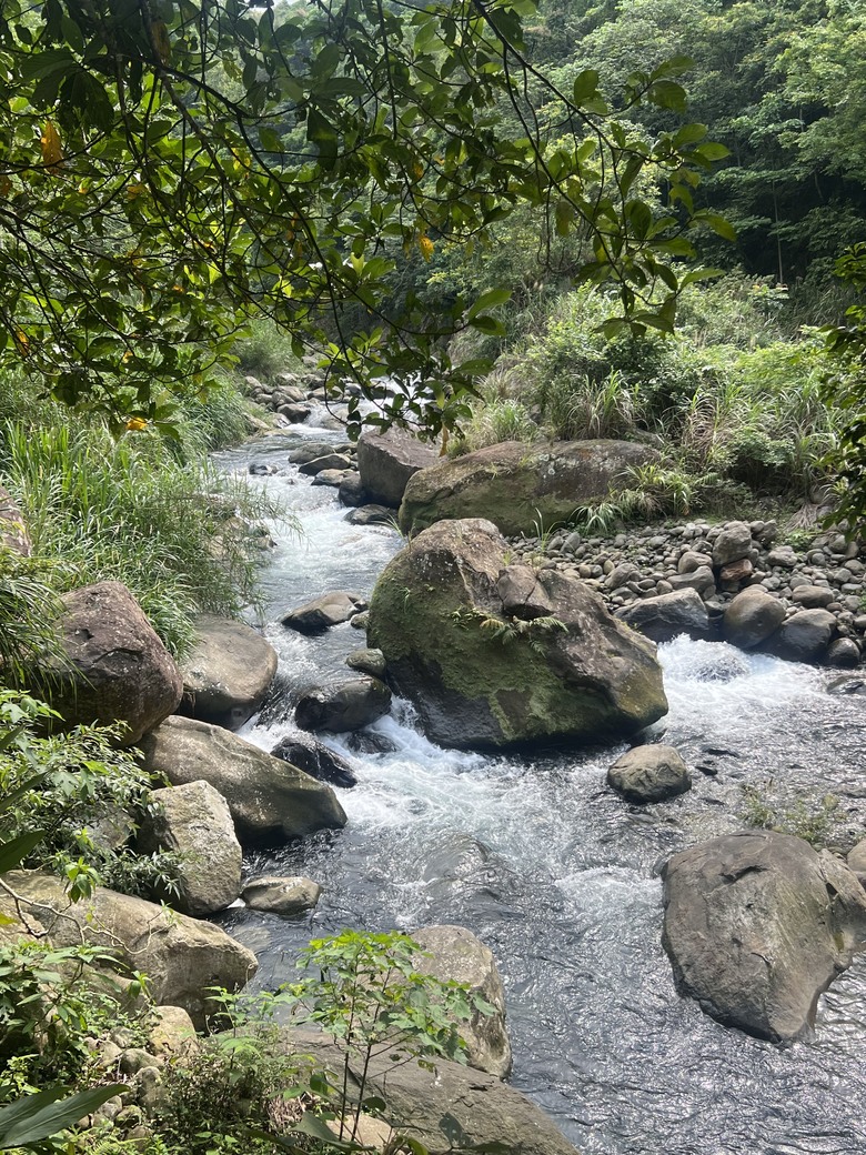 南庄 花魚蟲山水 兩天一夜輕鬆 GO!