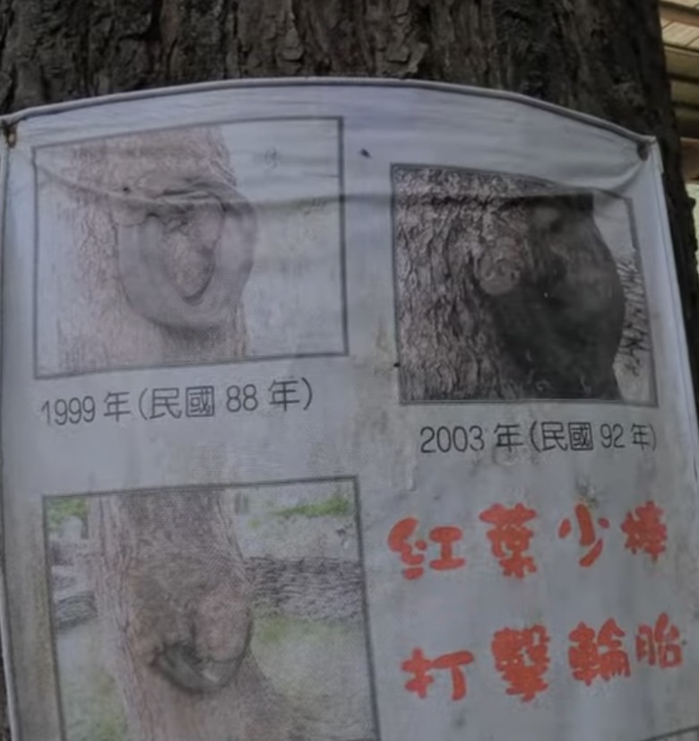 騎遊台東延平鄉紅葉村-棒球的故鄉