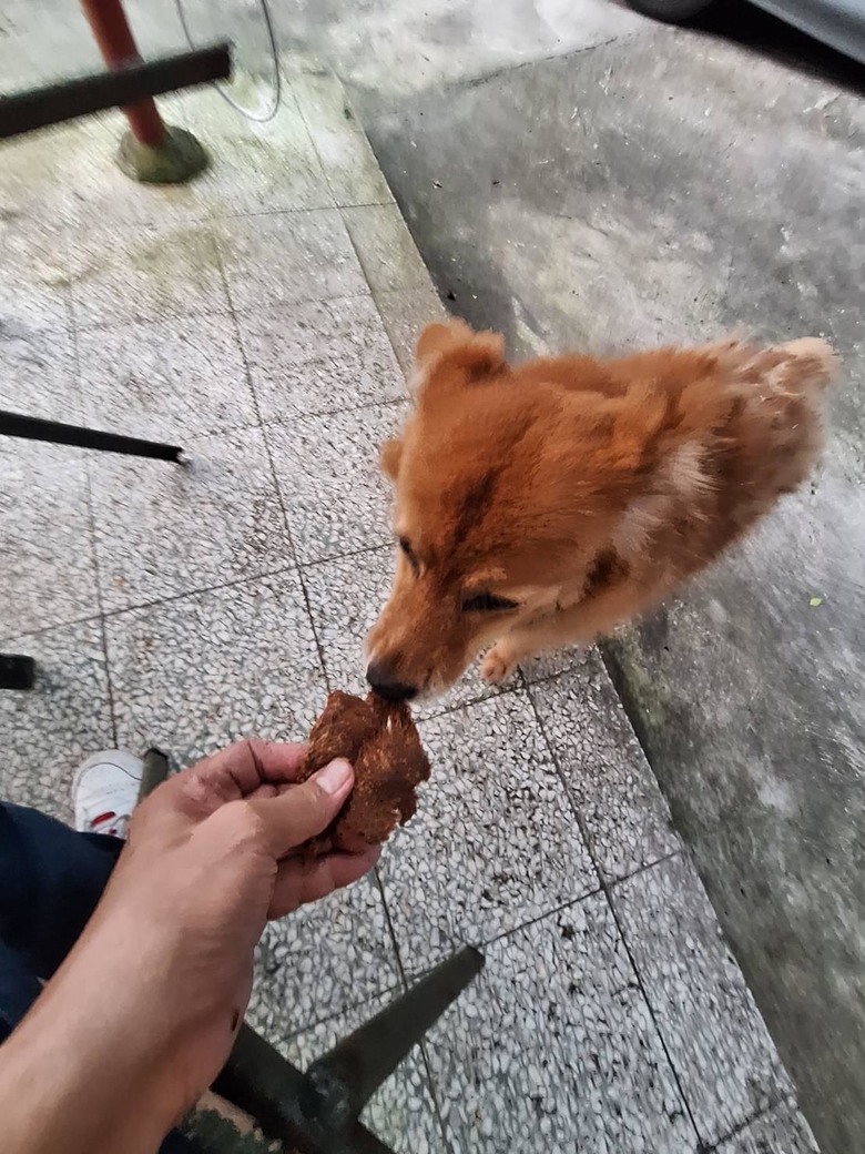 戒菸比賽2周心情分享