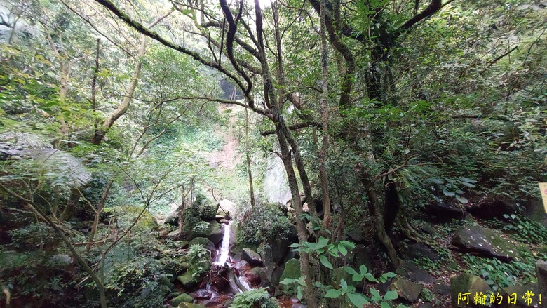 [踢不爛大地遊戲] 輕鬆走走清幽的絹絲瀑布步道