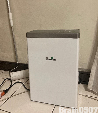 「過敏社畜開箱清淨機!放在租屋處剛好Bosswell ML12」
