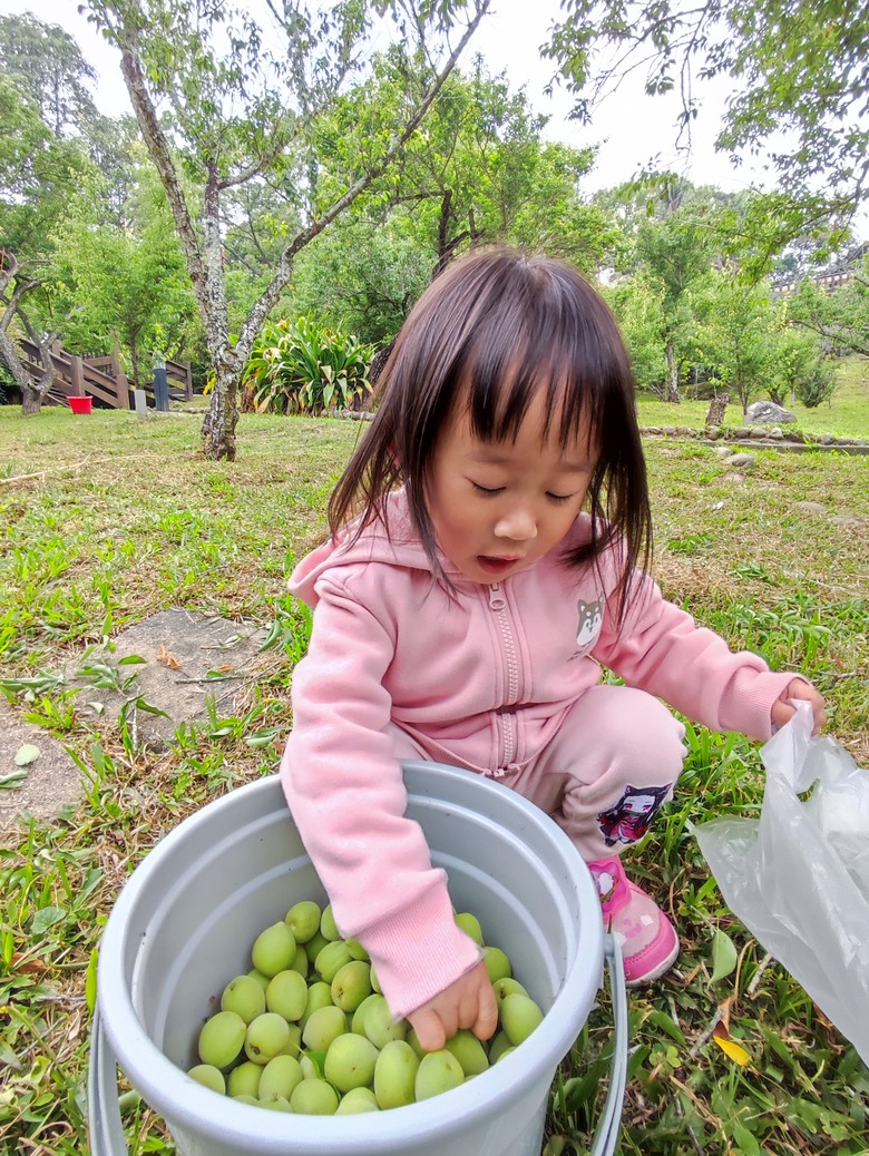 2024年,小小孩騎旅,南投,永不放棄塔塔加^_^