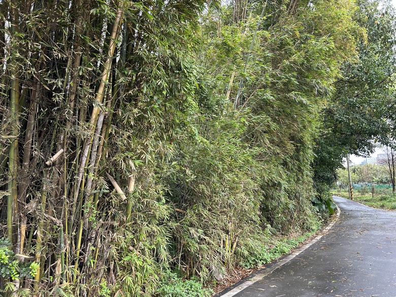 騎遊抗日保台第一戰(桃園平鎮)