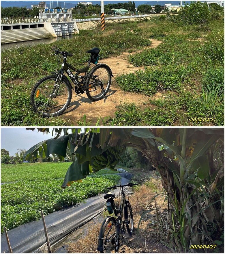 重建屁孩的雙避震登山車