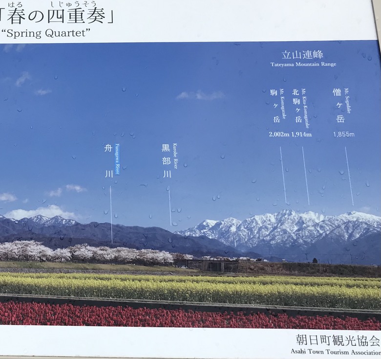 日本走馬看花/JR West pass/1人自由行10天9夜（Day8）