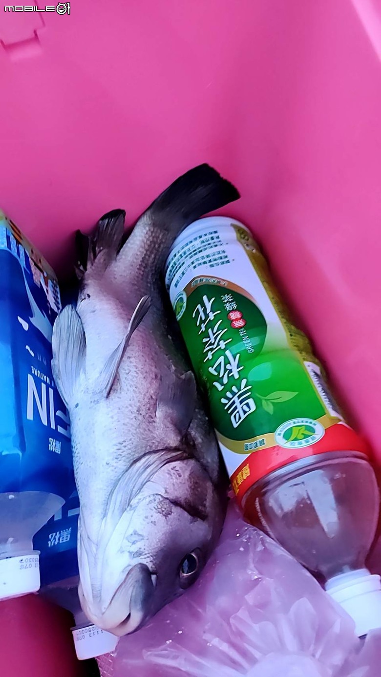 意外釣的包公