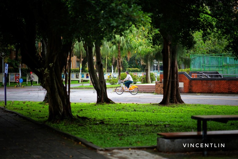 CANON RP+RF 85mm F2.0 台大隨拍