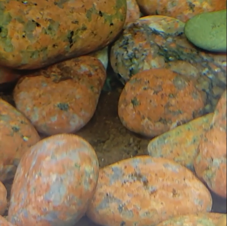 魚缸的疑惑???