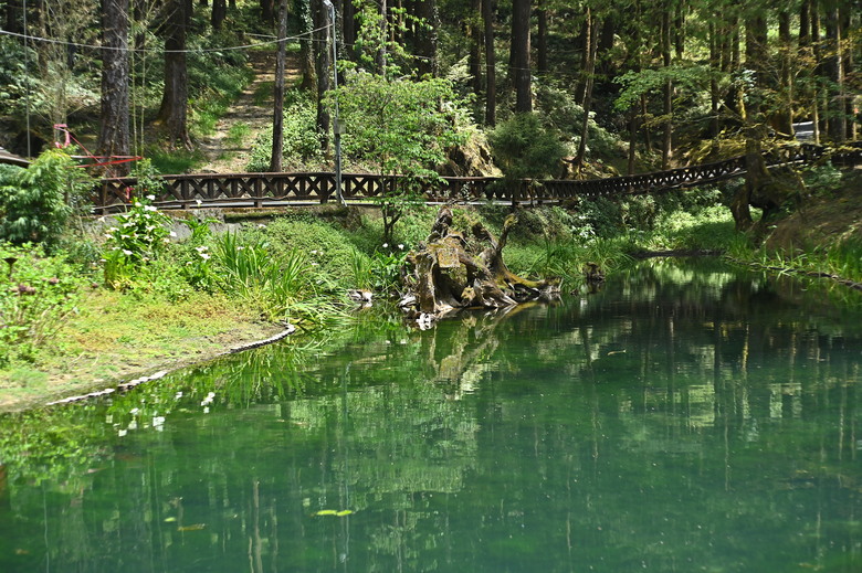 阿里山櫻花季,老鏡照片分享(meyer、steinheil、nikkor)