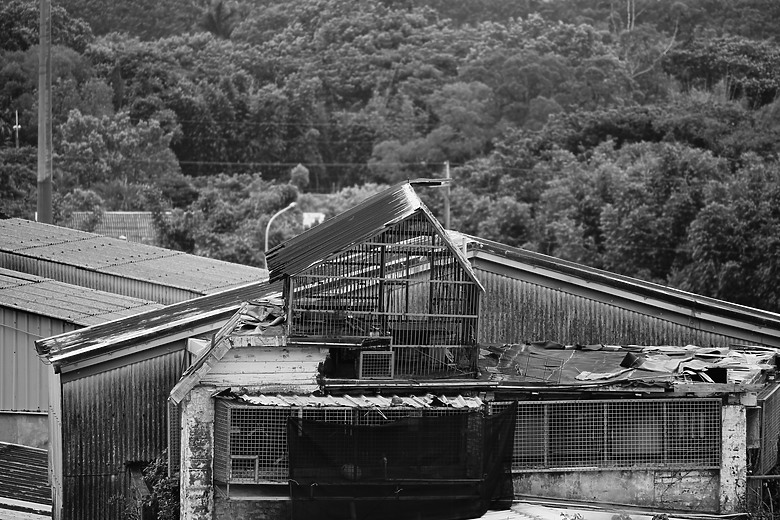 點我看大圖 Tamron 50-300mm f/4.5-6.3 Di III VC VXD(A069)評測報告|戶外取景更便利、近攝能力同步升級!