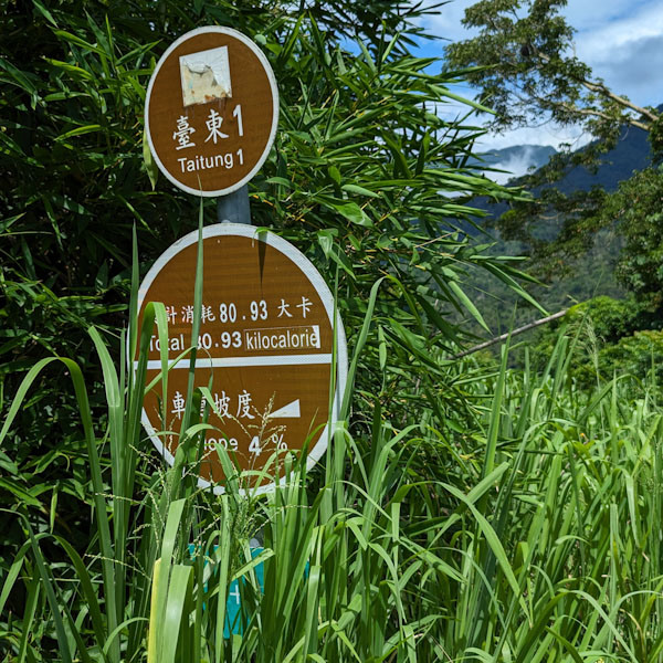 【不是遊記 - 6】關山環鎮自行車道 -- 車道改版前的念想實現