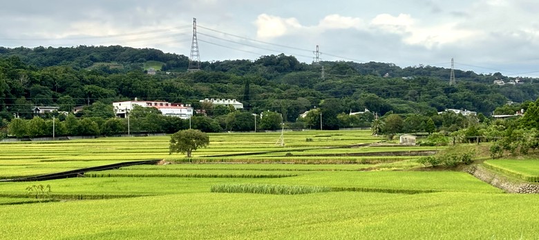 N MAX 之從故宮到新竹長和宮(相傳廟中有媽祖聖母的一束頭髮)