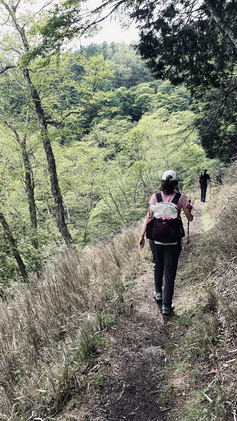 竈門炭治郎的家鄉，日本東京都最高山—雲取山