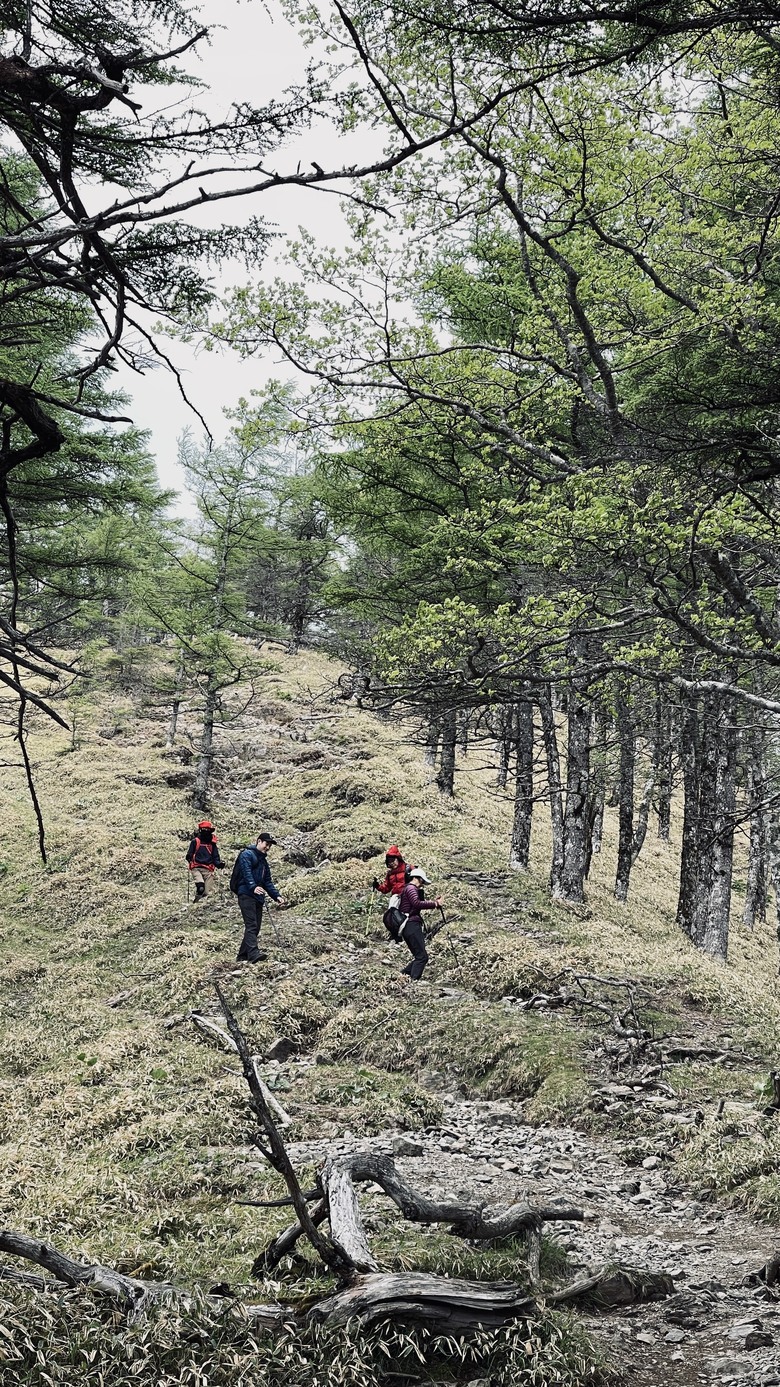 竈門炭治郎的家鄉，日本東京都最高山—雲取山
