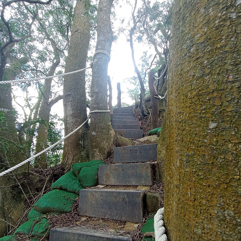從921震後荒廢近25年今年3月才開幕的步道「豐原萬里長城登山步道」
