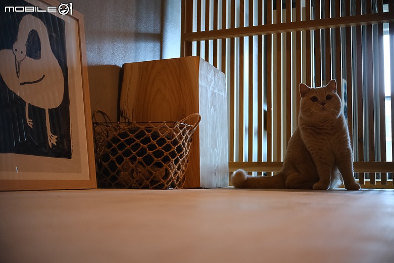 【開箱】桃園市32坪實木與水泥宅裝潢入住心得分享