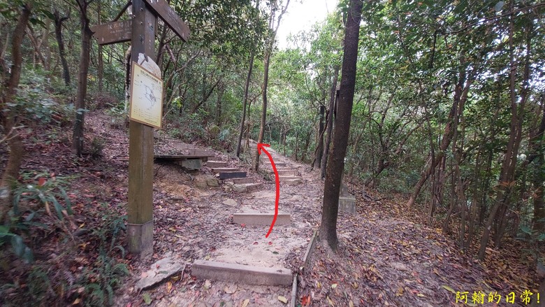 [踢不爛大地遊戲] 走岩壁上山，360度開闊視野，層層山巒、市區景色，盡收眼底 內湖金面山親山步道