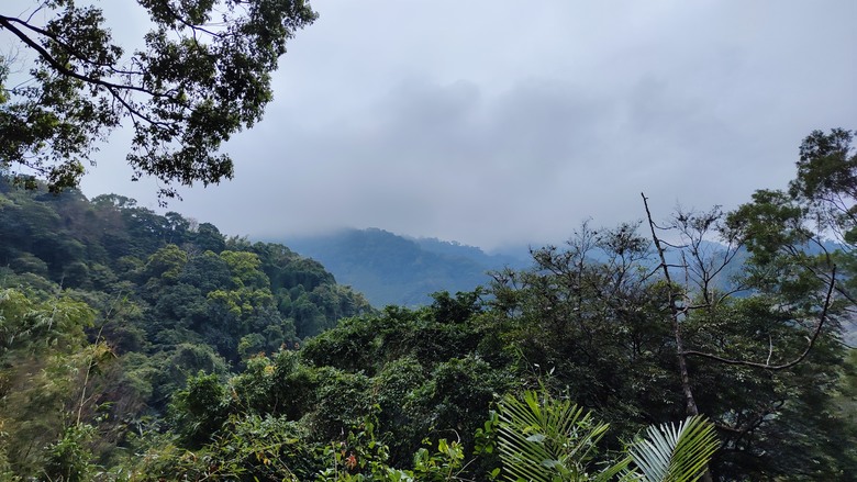 騎遊苗栗公館 | 沒有櫻花的拹雲宮櫻花大道