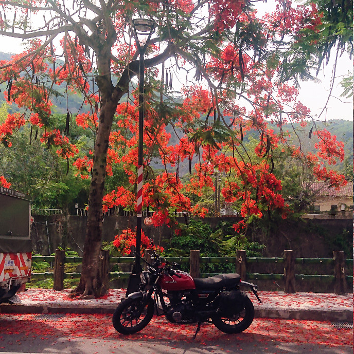 單人機車露營 🏍夏季輕量化露營 一個背包那瑪夏山上半野營