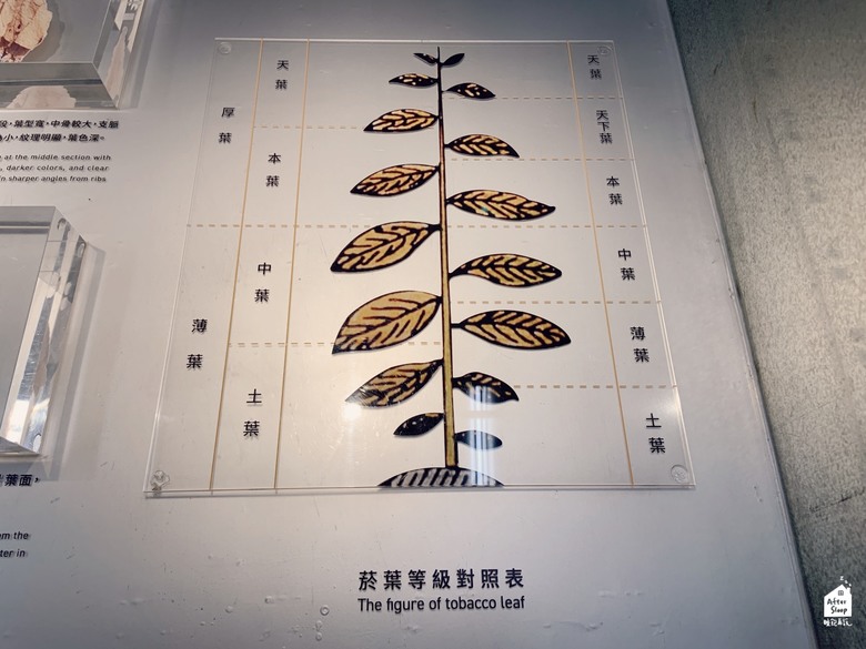 屏東市區｜屏菸1936文化基地＿歷史中的菸葉廠再造為新地標