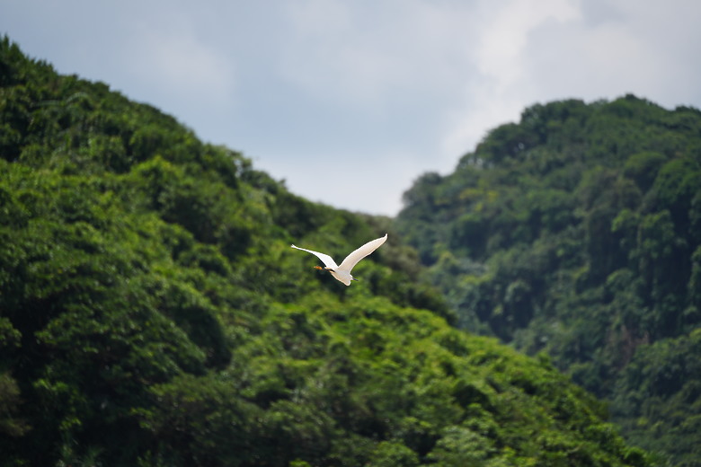 點我看大圖 Tamron 50-300mm f/4.5-6.3 Di III VC VXD(A069)評測報告|戶外取景更便利、近攝能力同步升級!