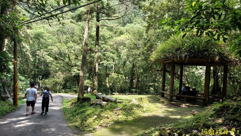[踢不爛大地遊戲] 輕鬆健行、觀瀑心靜，享受芬多精與負離子 滿月圓國家森林遊樂區步道群