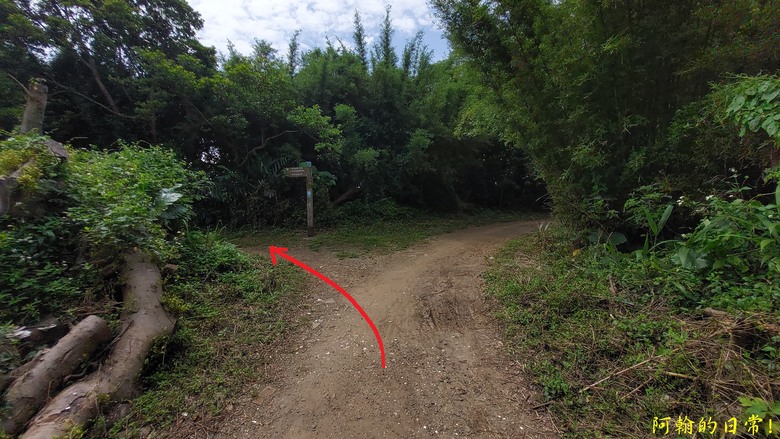 [2024 台北大縱走第一段] 捷運關渡站 → 二子坪遊客服務站｜一路向上走