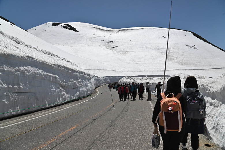 白雪皚皚的立山黑部與鬱鬱葱葱的上高地散步之旅-上