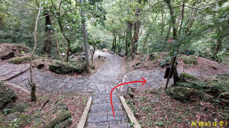 [踢不爛大地遊戲] 輕鬆健行、觀瀑心靜，享受芬多精與負離子 滿月圓國家森林遊樂區步道群