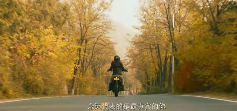 《玫瑰的故事》大结局