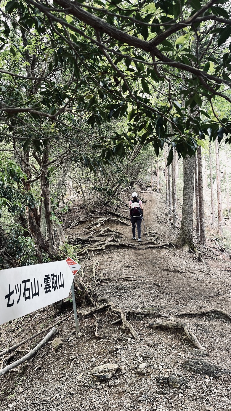 竈門炭治郎的家鄉，日本東京都最高山—雲取山