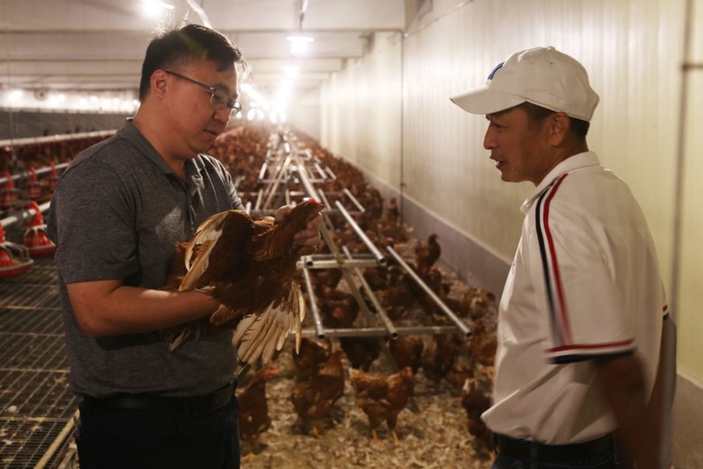 準媽媽新鮮食材的選擇！動物福利蛋