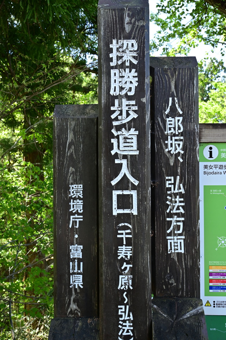 白雪皚皚的立山黑部與鬱鬱葱葱的上高地散步之旅-下