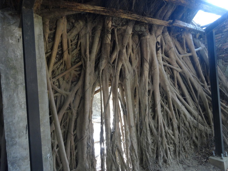 台南安平區英德記洋行及安平樹屋