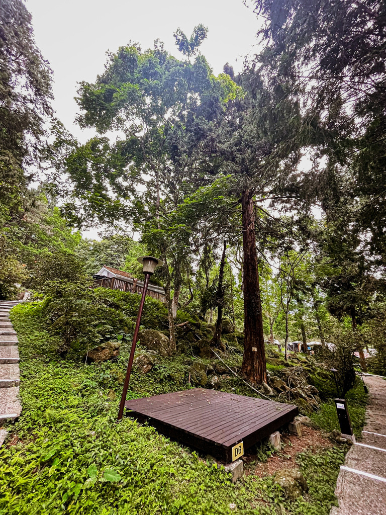 靜謐森林中的螢光旅程 - 蟬說：溪頭生態露營區