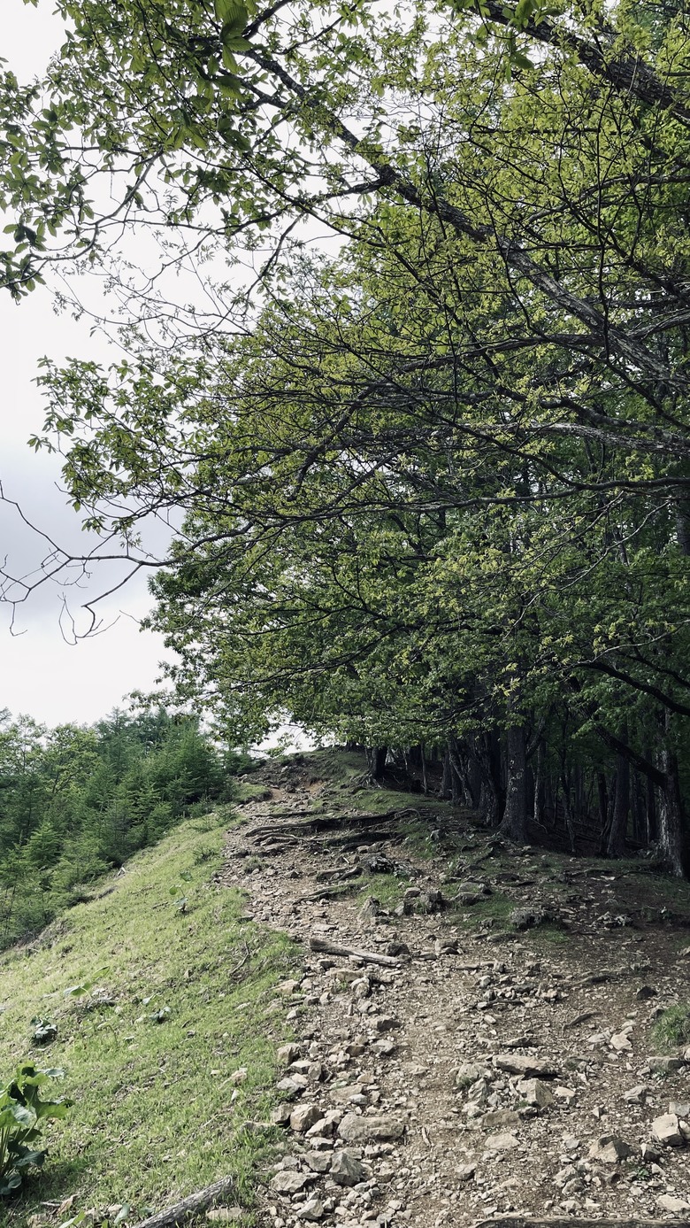 竈門炭治郎的家鄉，日本東京都最高山—雲取山