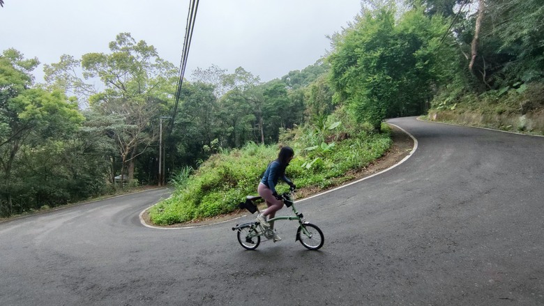 騎遊苗栗公館 | 沒有櫻花的拹雲宮櫻花大道