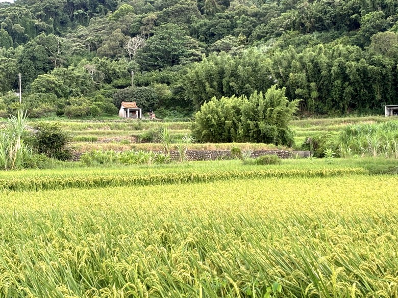 N MAX 之從故宮到新竹長和宮(相傳廟中有媽祖聖母的一束頭髮)