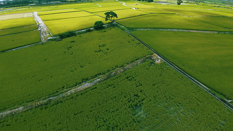 稻香 忘憂谷 Dji Avata2 空拍