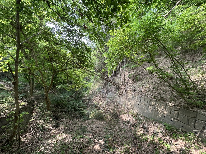 【小惡魔畫蛇添福】輕鬆挑戰台灣小百岳—大社觀音山步道