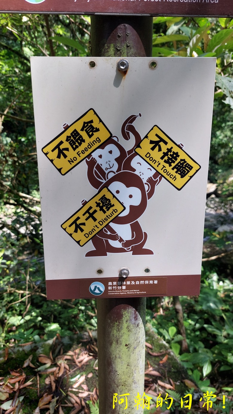 [踢不爛大地遊戲] 輕鬆健行、觀瀑心靜，享受芬多精與負離子 滿月圓國家森林遊樂區步道群