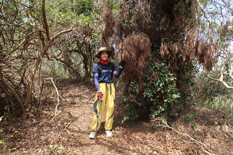 點我看大圖 【巴層巴墨山】遺世獨立卻讓人驚艷的西瓜河秘境 | 山頂無敵視野環繞