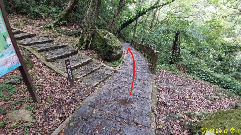 [踢不爛大地遊戲] 輕鬆健行、觀瀑心靜，享受芬多精與負離子 滿月圓國家森林遊樂區步道群
