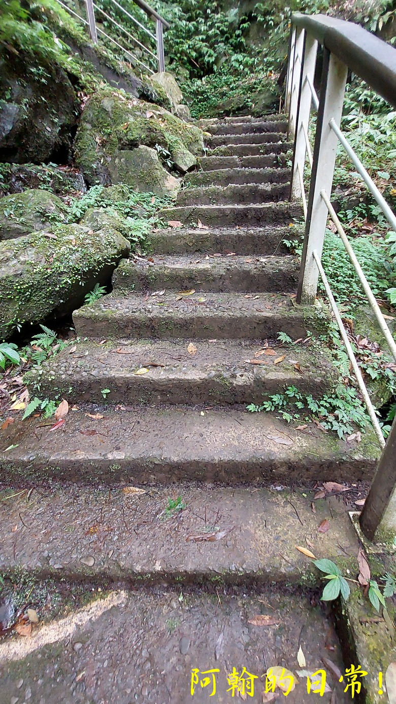 [踢不爛大地遊戲] 輕鬆健行、觀瀑心靜，享受芬多精與負離子 滿月圓國家森林遊樂區步道群