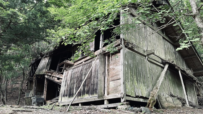 竈門炭治郎的家鄉，日本東京都最高山—雲取山