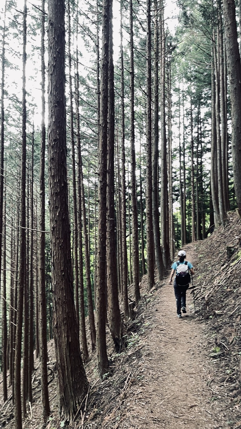 竈門炭治郎的家鄉，日本東京都最高山—雲取山