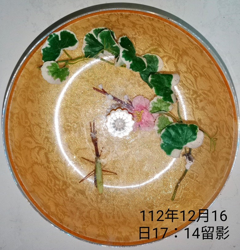 點我看大圖 萬德佛南無阿彌陀佛 螳螂倒立往生西方極樂世界