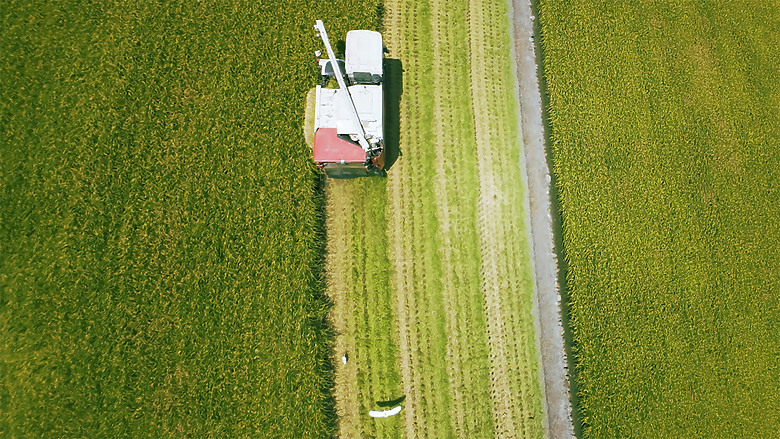稻香 忘憂谷 Dji Avata2 空拍