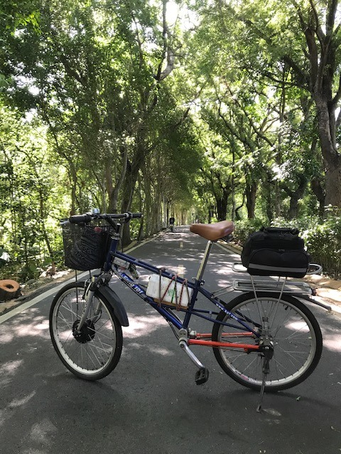 點我看大圖 夏日林間騎車--台中 東勢 谷關 新社 太平 台中火車站 繞一圈