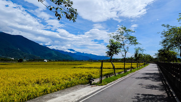 【不是遊記 - 6】關山環鎮自行車道 -- 車道改版前的念想實現